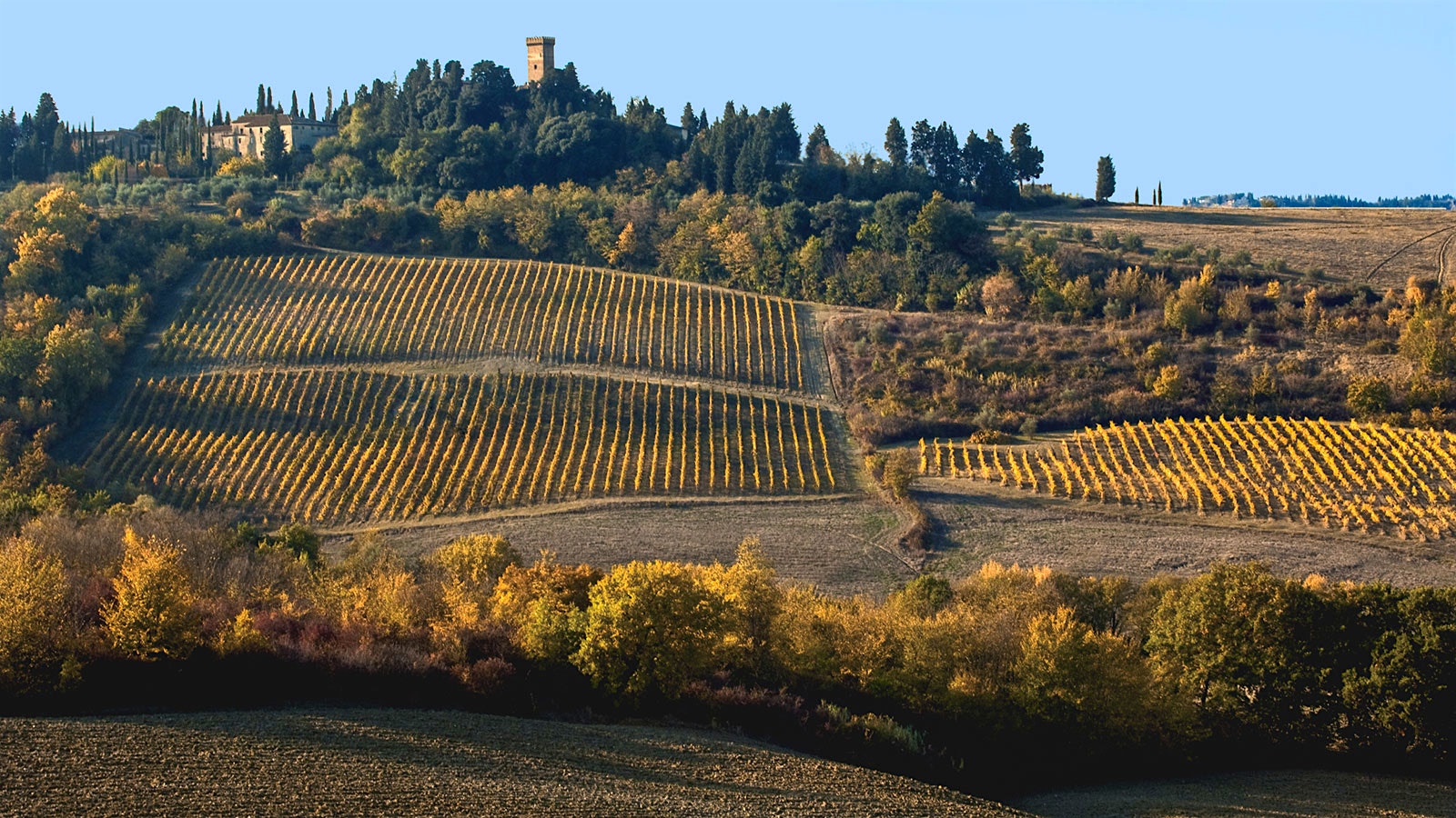 Castello Sonnino's hilltop medieval tower and 17th-century villa overlooking sloping vineyards